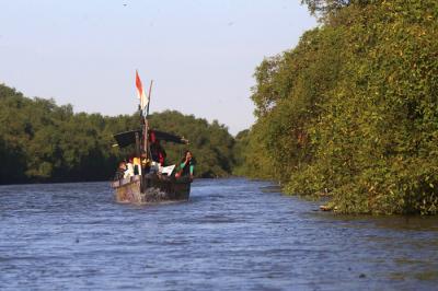 Satwa liar berupa kera dan aneka jenis burung terlihat jelas di kawasan Ekowisata Mangrove Wonorejo Rungkut, Surabaya, Jawa Timur, Senin (26/7/2021).