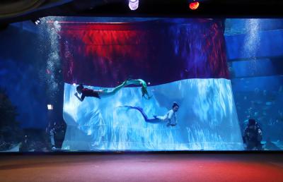 Puteri Duyung melintasi bendera raksasa saat dikibarkan didalam air oleh penyelam dengan kostum pejuang di Jakarta Aquarium, Jakarta Barat, Selasa (17/8/2021).