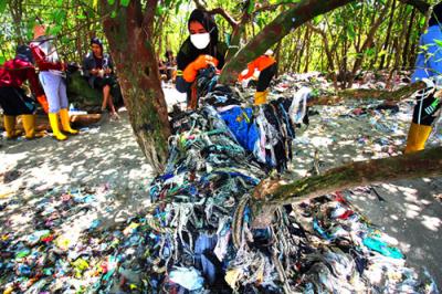 Relawan sungai nusantara membersihkan puluhan pohon api-api dari jeratan sampah plastik, di Pesisir Mangrove Wonorejo, Surabaya, Jawa Timur, Minggu (22/8/2021).
