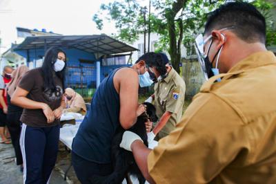 Penyuntikkan vaksin rabies pada hewan peliharaan warga di Komplek Batan Kelurahan Pasar Minggu, Jakarta, Senin (23/8/2021).