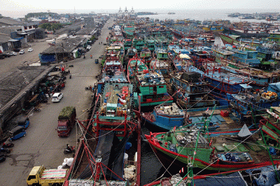 Suasana aktivitas bongkar muat hasil tangkapan laut di Pelabuhan Perikanan Samudera Nizam Zachman, Muara Baru, Penjaringan, Rabu (24/8/2021).