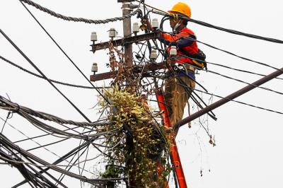 Petugas sedang memperbaiki kabel listrik yang tertutup oleh pohon di kawasan Jakarta Barat, Senin (30/8/2021).