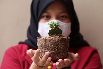 Mahasiswa UMSurabaya menunjukkan pot bunga cantik berbahan dasar limbah pelepah pisang saat dipamerkan di kampus UMSurabaya, Jawa Timur, Senin (30/8/2021).