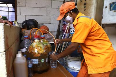 Petugas PPSU memperlihatkan ulat Maggot atau larva lalat BSF yang dibudidayakan di Kelurahan Kuningan Barat, Jakarta Selatan, Senin (13/9/2021).