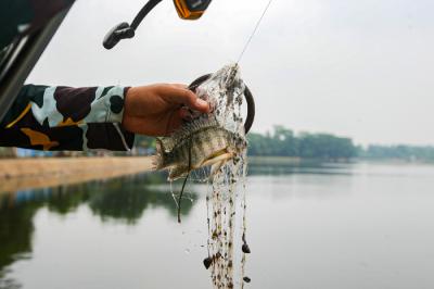 Warga saat memancing menggunakan alat pancing yang sudah dimodifikasi dengan jaring di Setu Pedongkelan, Depok, Jawa Barat, Minggu (12/9/2021).