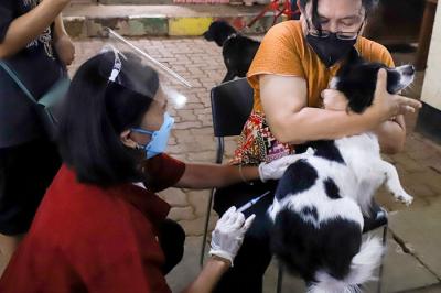 Vaksin anti rabies kepada hewan piaraan secara gratis di Petukangan Selatan, Jakarta, Rabu (15/9/2021).