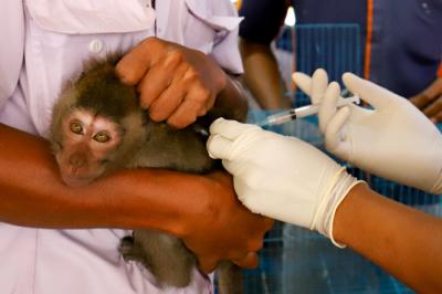 Vaksin anti rabies kepada hewan piaraan secara gratis di Petukangan Selatan, Jakarta, Rabu (15/9/2021).
