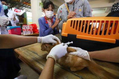 Vaksin anti rabies kepada hewan piaraan secara gratis di Petukangan Selatan, Jakarta, Rabu (15/9/2021).
