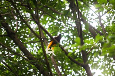Pengunjung berswafoto di Taman Burung, Taman Mini Indonesia Indah (TMII), Jakarta Timur, Minggu (19/9/2021).