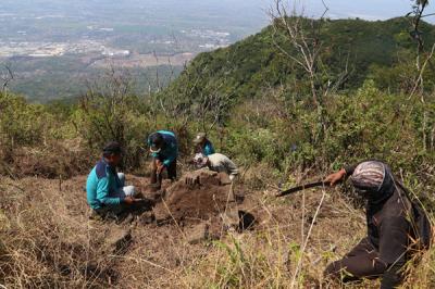 Tim Ekspedisi Ubaya membersihkan tanah dan pepohonan yang menutupi situs purbakala ketika melakukan ekspedisi di Gunung Penanggungan, Minggu (19/9/2021).
