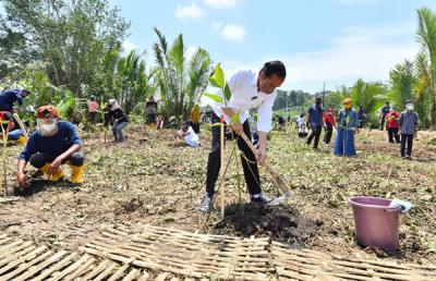 Presiden Jokowi melakukan Penanaman Pohon Mangrove di Desa Tritih Lor, Kecamatan Cilacap Utara, Kabupaten Cilacap, Jawa Tengah, Kamis (23/9/2021).