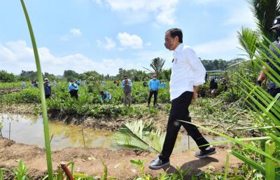 Presiden Jokowi melakukan Penanaman Pohon Mangrove di Desa Tritih Lor, Kecamatan Cilacap Utara, Kabupaten Cilacap, Jawa Tengah, Kamis (23/9/2021).
