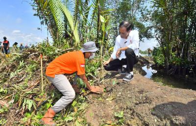 Presiden Jokowi melakukan Penanaman Pohon Mangrove di Desa Tritih Lor, Kecamatan Cilacap Utara, Kabupaten Cilacap, Jawa Tengah, Kamis (23/9/2021).