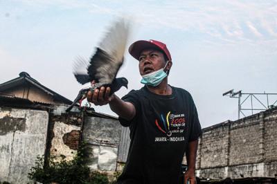 Warga sedang melatih burung merpati di kawasan Muria Dalam, Jakarta Selatan, Selasa (28/9/2021).