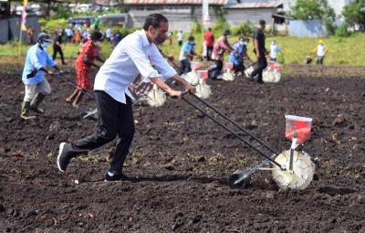 Presiden Jokowi bersama petani melakukan penanaman benih jagung di Keluarahan Klamalu, Kecamatan Aimas, Kabupaten Sorong, Papua Barat, Senin (4/10/2021).