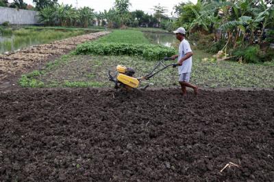 Rohani, petani perkotaan menggarap lahan kosong untuk ditanami sayuran disalah satu komplek perumahan di Semolowaru Surabaya, Jawa Timur, Senin (4/10/2021).