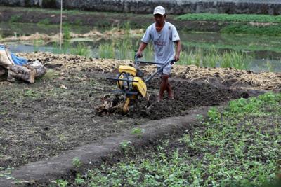 Rohani, petani perkotaan menggarap lahan kosong untuk ditanami sayuran disalah satu komplek perumahan di Semolowaru Surabaya, Jawa Timur, Senin (4/10/2021).