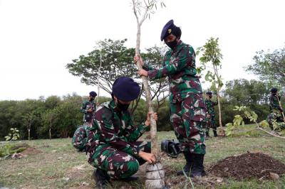 Pangkoarmada II Laksda TNI Iwan Isnurwanto bersama seluruh prajurit TNI Angkatan Laut Koarmada II menanam Pohon Tabebuya di Jawa Timur, Rabu (6/10/2021).