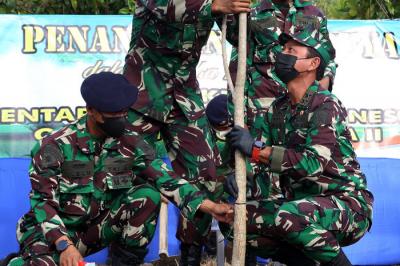 Pangkoarmada II Laksda TNI Iwan Isnurwanto bersama seluruh prajurit TNI Angkatan Laut Koarmada II menanam Pohon Tabebuya di Jawa Timur, Rabu (6/10/2021).