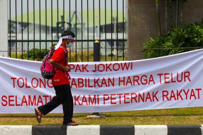 Ratusan peternak melakukan demonstrasi dengan membawa telur ayam di Depan Gedung DPR, Jakarta Pusat, Senin (11/10/2021).