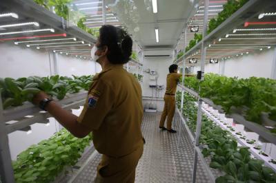 Petugas mengecek tanaman yang ditanam dengan menggunakan teknik hidroponik didalam container farming dan agro electrifying di Jakarta, Selasa (12/10/2021).