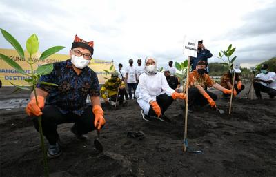 Penanaman pohon mangrove untuk mencegah abrasi dan mengurangi emisi gas buang di Pantai Cemara, Banyuwangi, Jumat (22/10/2021).