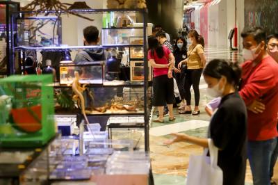 Pengunjung saat melihat pameran Exotic Pet Expo yang menampilkan berbagai macam hewan peliharaan di Senayan Park, Jakarta, Kamis (28/10/2021).
