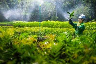 Petugas jaga memberikan makanan kawanan rusa di area kebun bibit modern (nursery) PT Vale Indonesia, Soroako, Kabupaten Luwu Timur, Sabtu (30/10/2021).