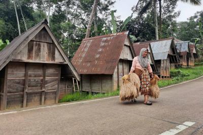 Warga mengantre untuk proses penggilingan padi menjadi beras di desa Citorek Tengah, Kecamatan Cibeber, Kabupaten Lebak, Banten, Minggu (7/11/2021).