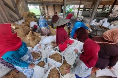 Warga mengantre untuk proses penggilingan padi menjadi beras di desa Citorek Tengah, Kecamatan Cibeber, Kabupaten Lebak, Banten, Minggu (7/11/2021).