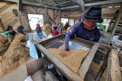 Warga mengantre untuk proses penggilingan padi menjadi beras di desa Citorek Tengah, Kecamatan Cibeber, Kabupaten Lebak, Banten, Minggu (7/11/2021).