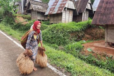 Warga mengantre untuk proses penggilingan padi menjadi beras di desa Citorek Tengah, Kecamatan Cibeber, Kabupaten Lebak, Banten, Minggu (7/11/2021).