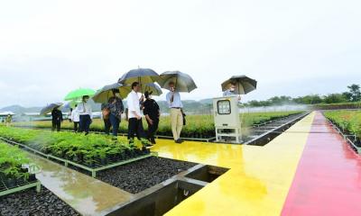 Presiden Joko Widodo meninjau langsung Persemaian Modern Rumpin di Kecamatan Rumpin, Kabupaten Bogor, Jumat (19/11/2021).