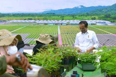 Presiden Joko Widodo meninjau langsung Persemaian Modern Rumpin di Kecamatan Rumpin, Kabupaten Bogor, Jumat (19/11/2021).