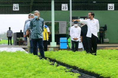Presiden Joko Widodo meninjau langsung Persemaian Modern Rumpin di Kecamatan Rumpin, Kabupaten Bogor, Jumat (19/11/2021).
