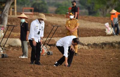 Presiden Joko Widodo menanam jagung bersama para petani di Kabupaten Jeneponto, Sulawesi Selatan, Selasa (23/11/2021).