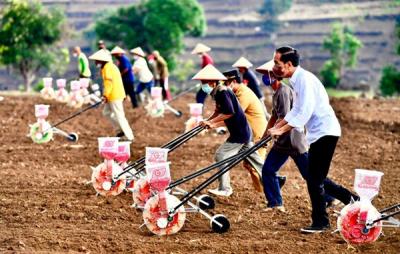 Presiden Joko Widodo menanam jagung bersama para petani di Kabupaten Jeneponto, Sulawesi Selatan, Selasa (23/11/2021).