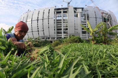 Petani memanen sayur-mayur jenis kangkung di lahan garapan kawasan Papanggo, Jakarta Utara, sabtu (4/12/2021).