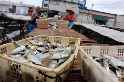 Pekerja merebus ikan yang sudah direndam garam untuk dijadikan ikan asin di pemukiman Nelayan, Muara Angke, Jakarta, Sabtu (11/12/2021).