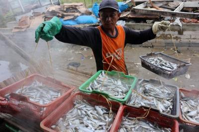 Pekerja merebus ikan yang sudah direndam garam untuk dijadikan ikan asin di pemukiman Nelayan, Muara Angke, Jakarta, Sabtu (11/12/2021).