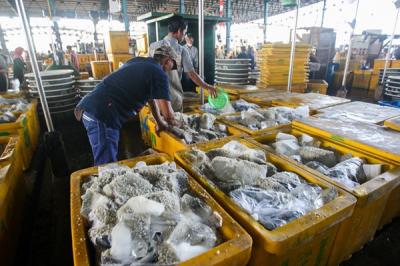 Pedagang saat mensortir ikan untuk dijual di Pasar Ikan Muara Angke, Jakarta Utara, Senin (13/12/2021).