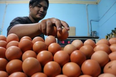 Pedagang telur ayam melayani pedagang di kawasan Jalan Pasar Inpres Serdang, Kemayoran, Jakarta, Sabtu (25/12/2021).