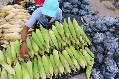 Pedagang jagung melayani pembeli di kawasan Pasar Ikan Muara Angke, Jakarta Utara, Jumat (31/12/2021).
