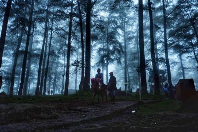 Suasana pengunjung di kawasan wisata Pohon Pinus, Malino, Kabupaten Gowa, Minfgu (2/1/2022).
