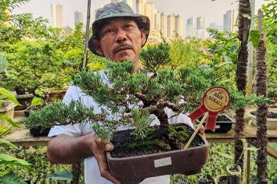 Warga saat merawat tanaman bonsai di lahan bantaran sungai Ciliwung, Jakarta, Rabu (5/1/2021).