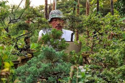 Warga saat merawat tanaman bonsai di lahan bantaran sungai Ciliwung, Jakarta, Rabu (5/1/2021).