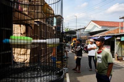 Pengunjung saat memilih hewan peliharaan di Pasar Hewan Jatinegara, Jakarta Timur, Minggu (9/1/2022).
