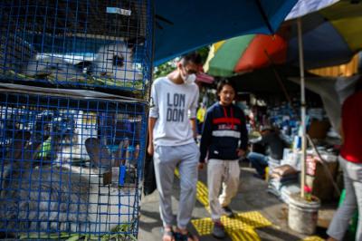 Pengunjung saat memilih hewan peliharaan di Pasar Hewan Jatinegara, Jakarta Timur, Minggu (9/1/2022).