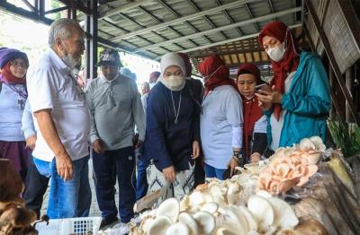 Menteri Ketenagakerjaan Ida Fauziyah, mengajak generasi muda untuk menjadi petani jamur.