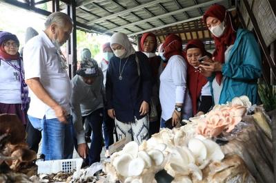 Menteri Ketenagakerjaan Ida Fauziyah, mengajak generasi muda untuk menjadi petani jamur.